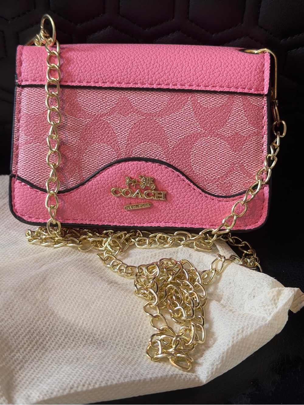 COACH Pink Mini Signature Chain Crossbody Bag
